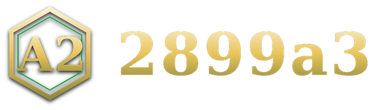 2899a3 logo
